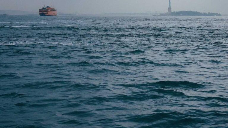 How Do Users Post 99Exch Online Feedback?